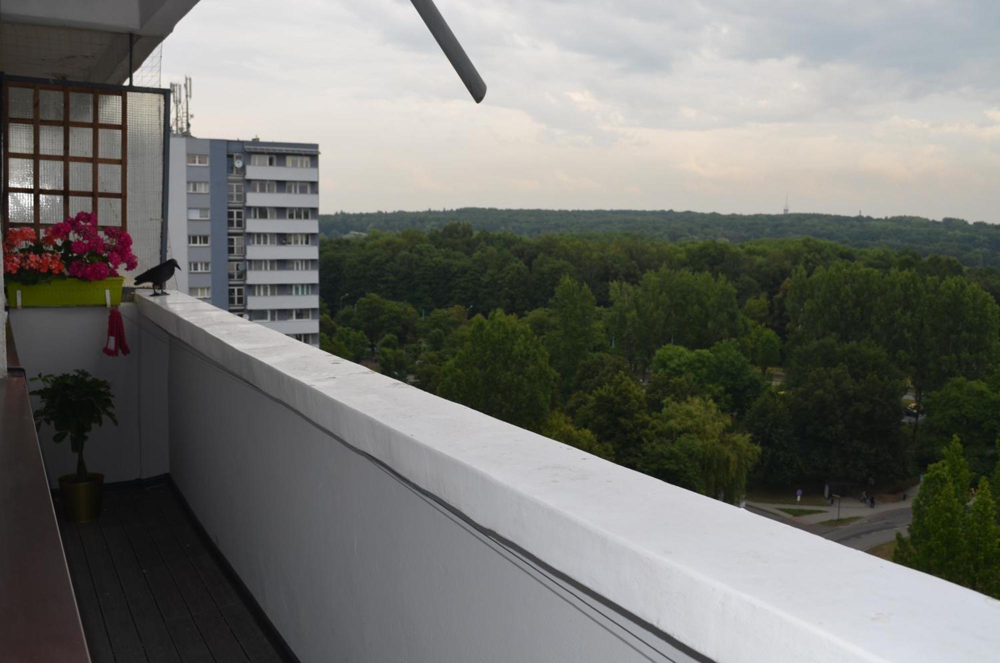 Apartment Silesia Park - Free Parking - Easy Check-In Katowice Bagian luar foto